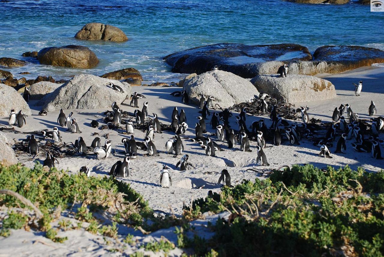 The Cheriton Guest House Cape Town Luaran gambar